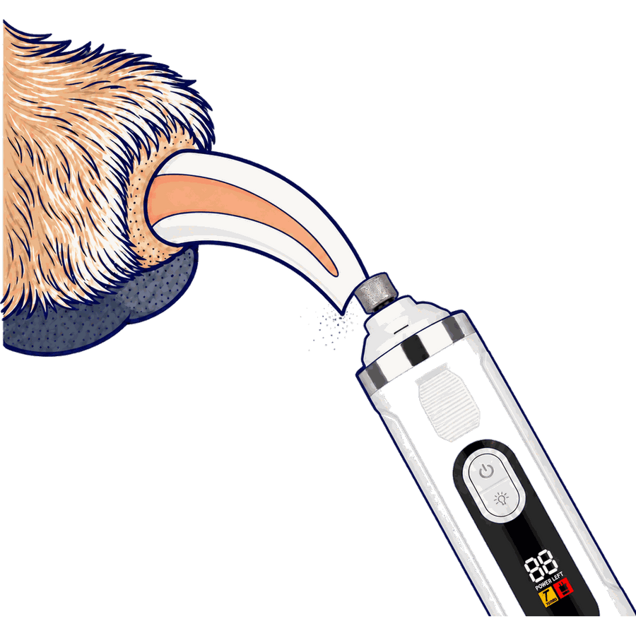 Cross-section of the same dog claw with the LullPaw grinder head at the tip and nail dust lifting away